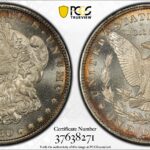 1880/9 s vam 11 morgan dollar pcgs ms66