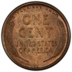 1909 s v.d.b. pcgs ms63b