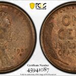 1909 s v.d.b. pcgs ms63b