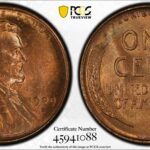 1909 s v.d.b. pcgs ms64rb